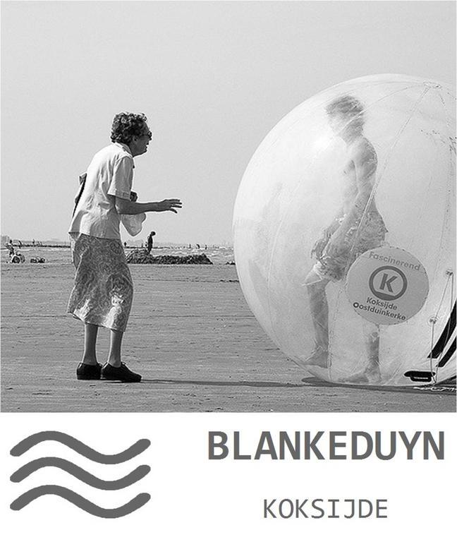 דירות Blankeduyn קוקסיידה מראה חיצוני תמונה